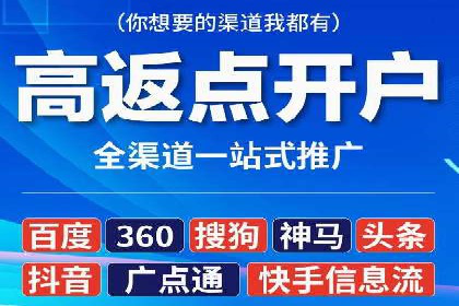 百度竞价排名服务的广告投放技巧与策略